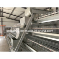 Hot Sell a Type Automatic Chicken Cage System